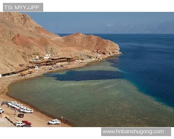 武汉极限运动队如何引领快攻革新潮流与未来发展探讨 武汉极限运动队如何引领快攻革新潮流与未来发展探讨