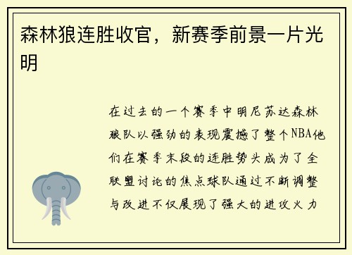 森林狼连胜收官，新赛季前景一片光明